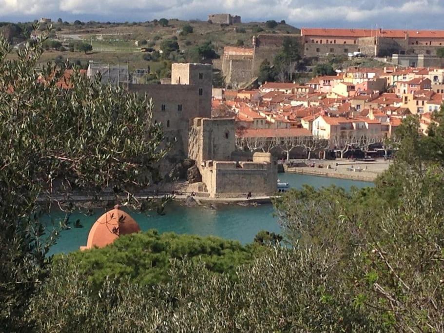Ferienwohnung Pieds Dans L'Eau A Collioure Exterior foto